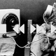 Illustration for article titled 19 Adorable Animals Using Technology Adorably